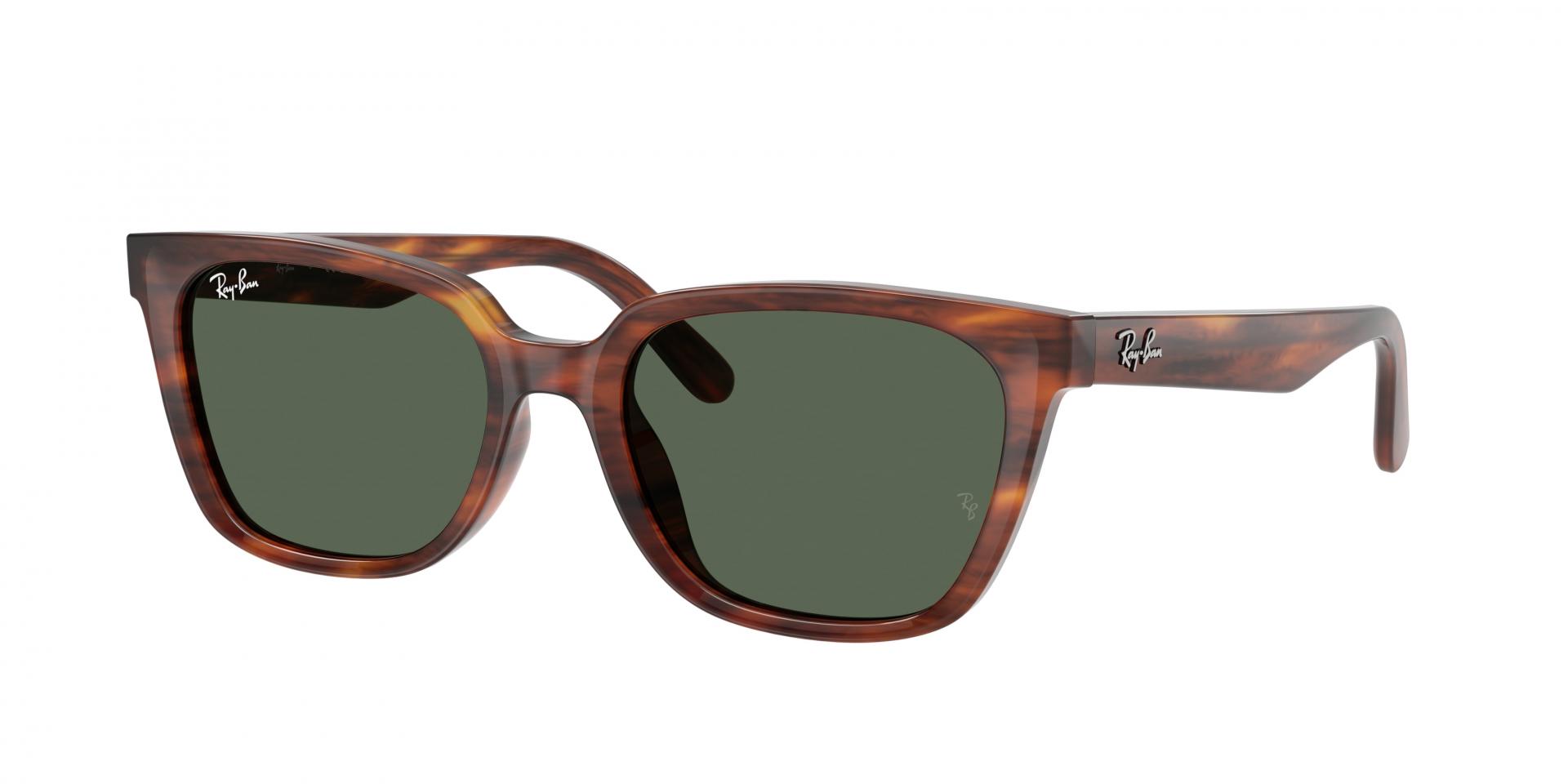 Occhiali da sole Ray-Ban RB2243D 139972 8056266002250 | Ottica Lux