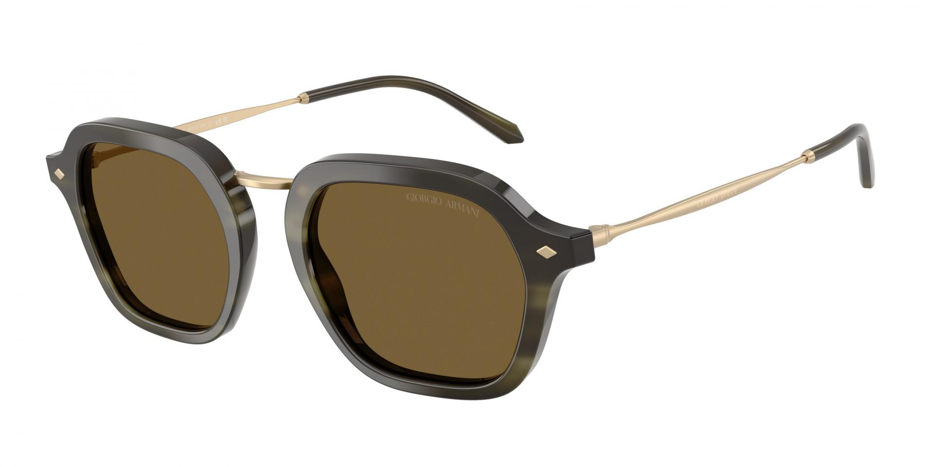 Occhiali da sole Giorgio Armani AR6190 5875R5 8056262990902 | Ottica Lux