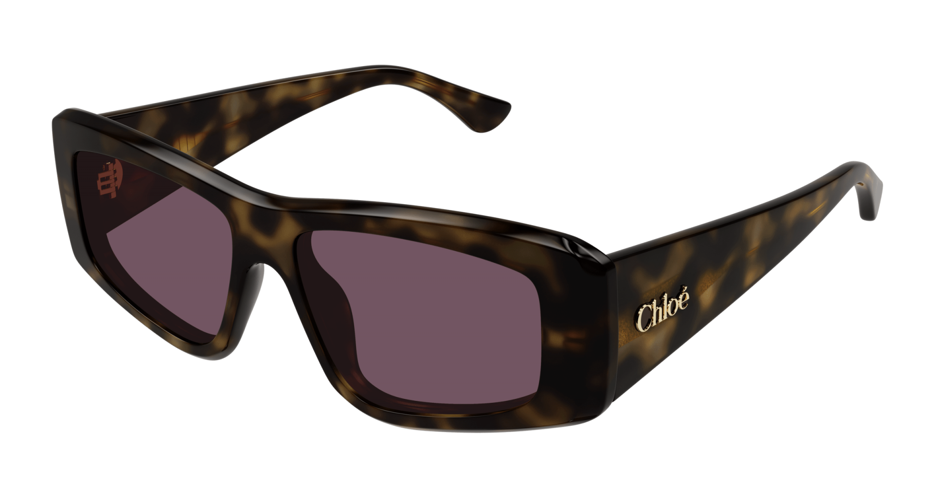 Sunglasses Chloé CH0299S 002 8056376561555 | Ottica Lux