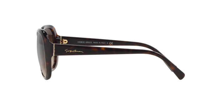 Sunglasses Giorgio Armani AR8047 502613 8053672372731 | Ottica Lux