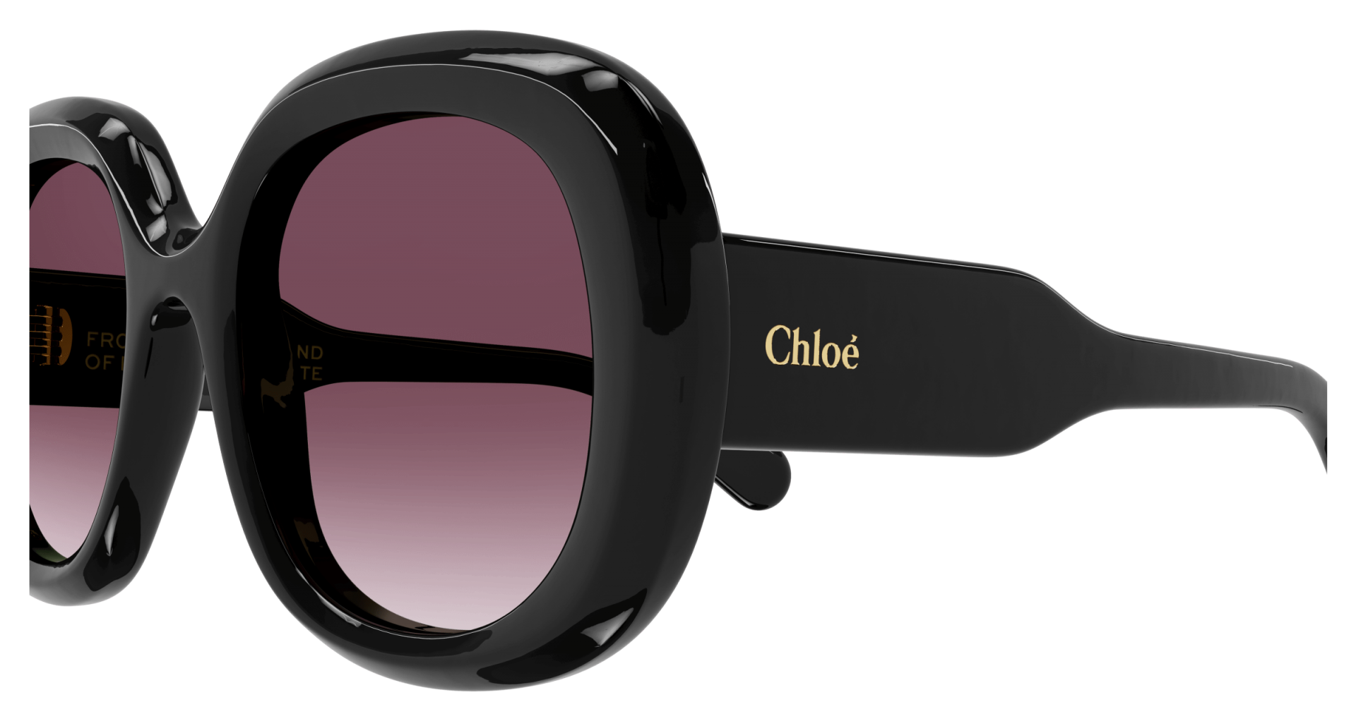 Occhiali da sole Chloé CH0153S 001 8056376444452 | Ottica Lux
