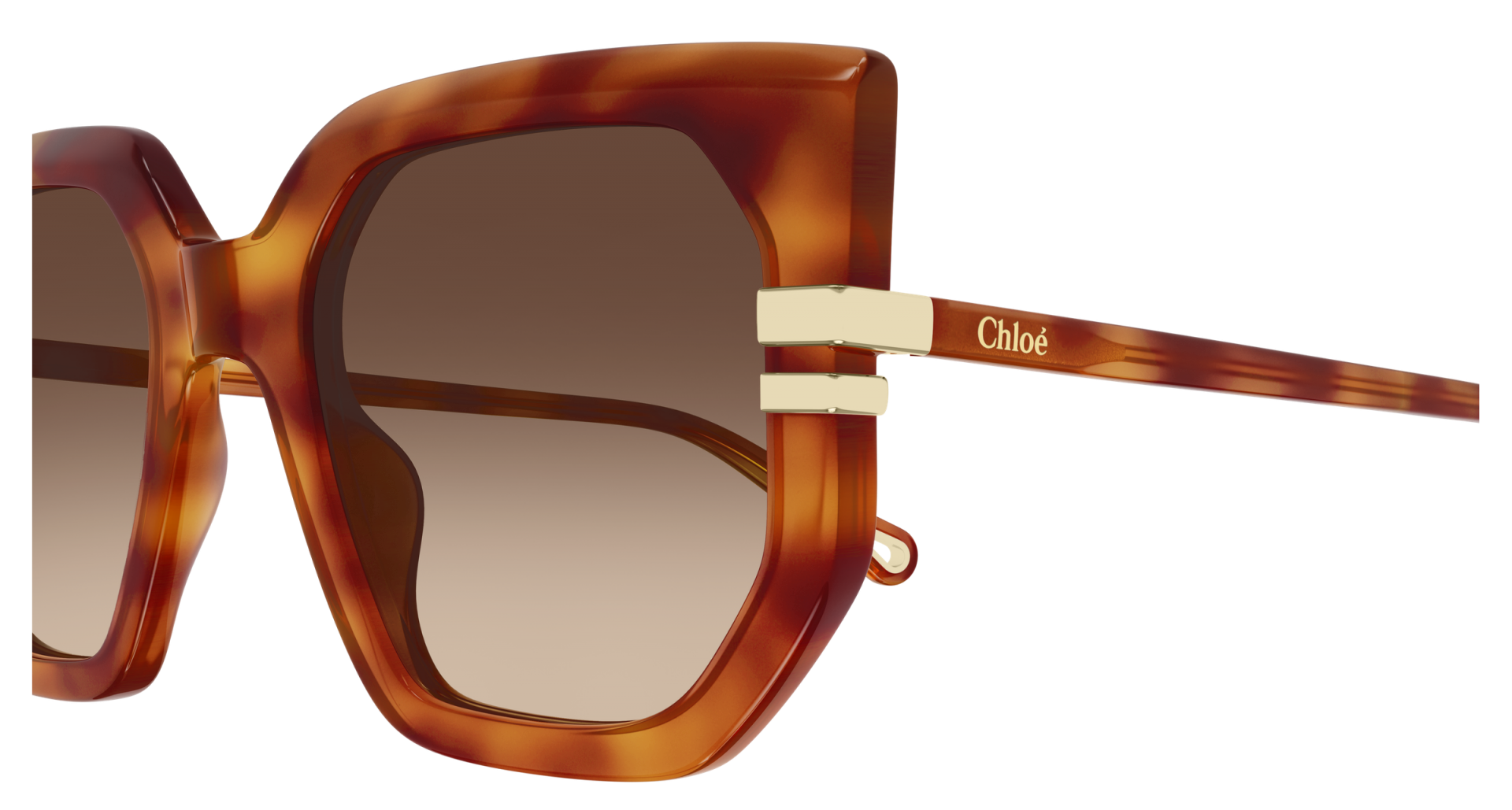 Occhiali da sole Chloé CH0240S 007 8056376616842 | Ottica Lux