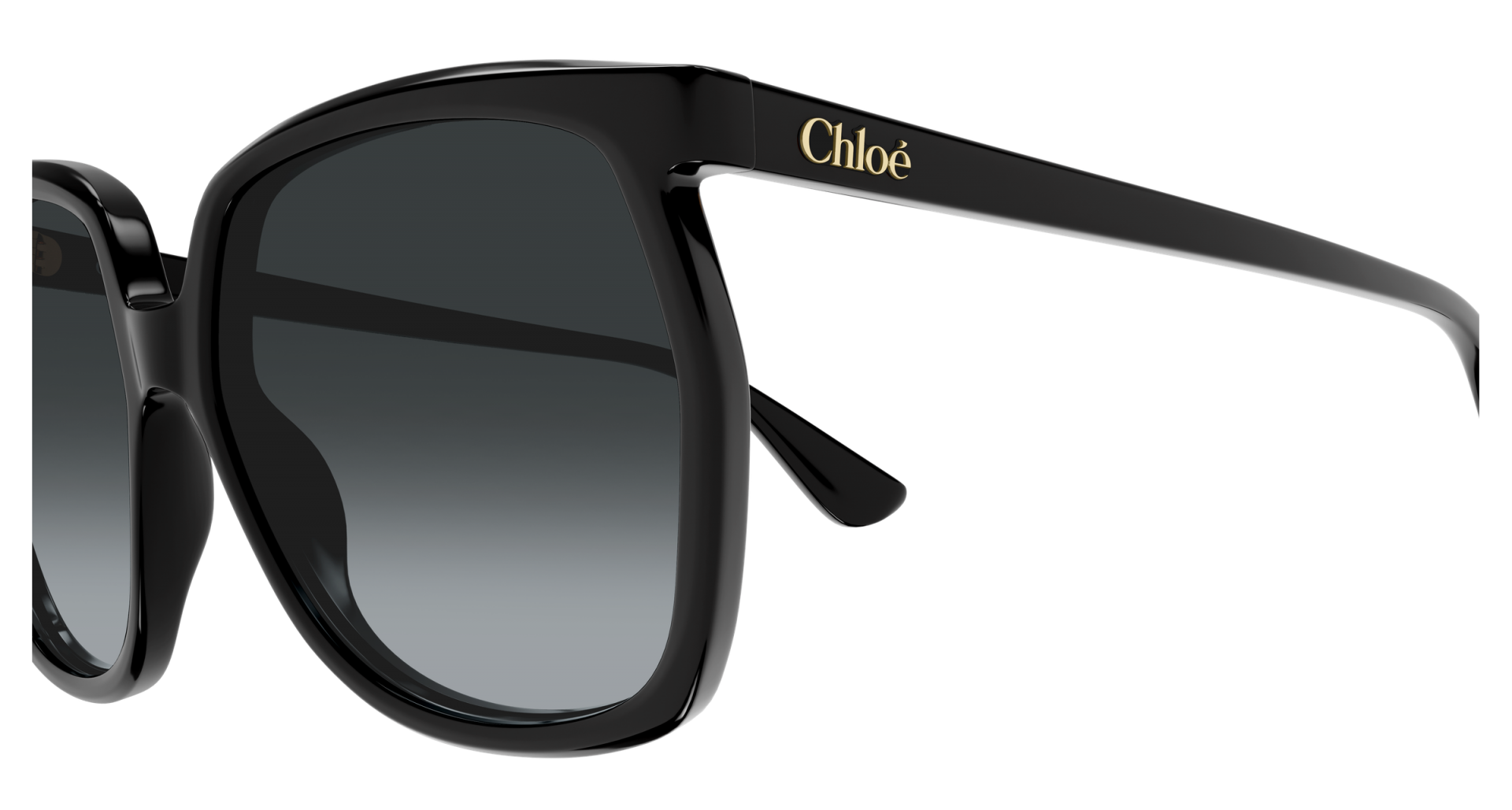 Sunglasses Chloé CH0389S 001 8056376700879 | Ottica Lux