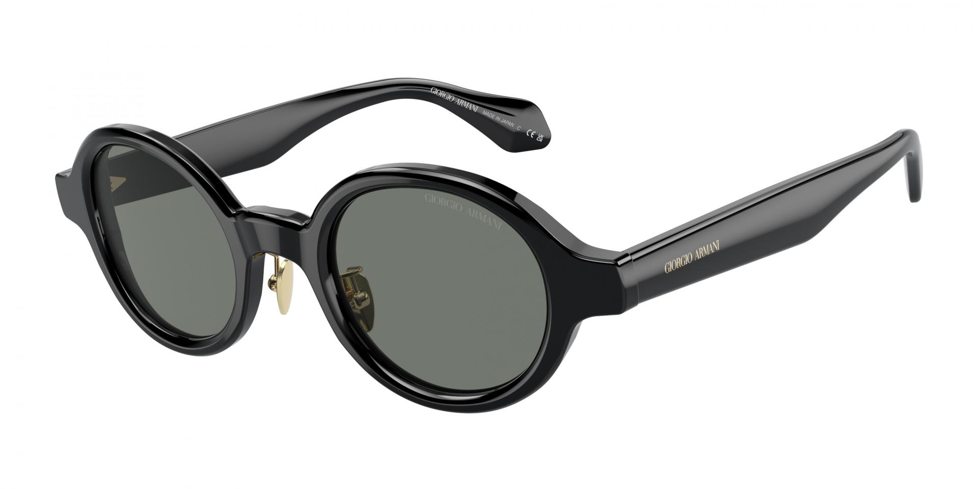 Sunglasses Giorgio Armani AR8205 6060/1 8056597999953 | Ottica Lux