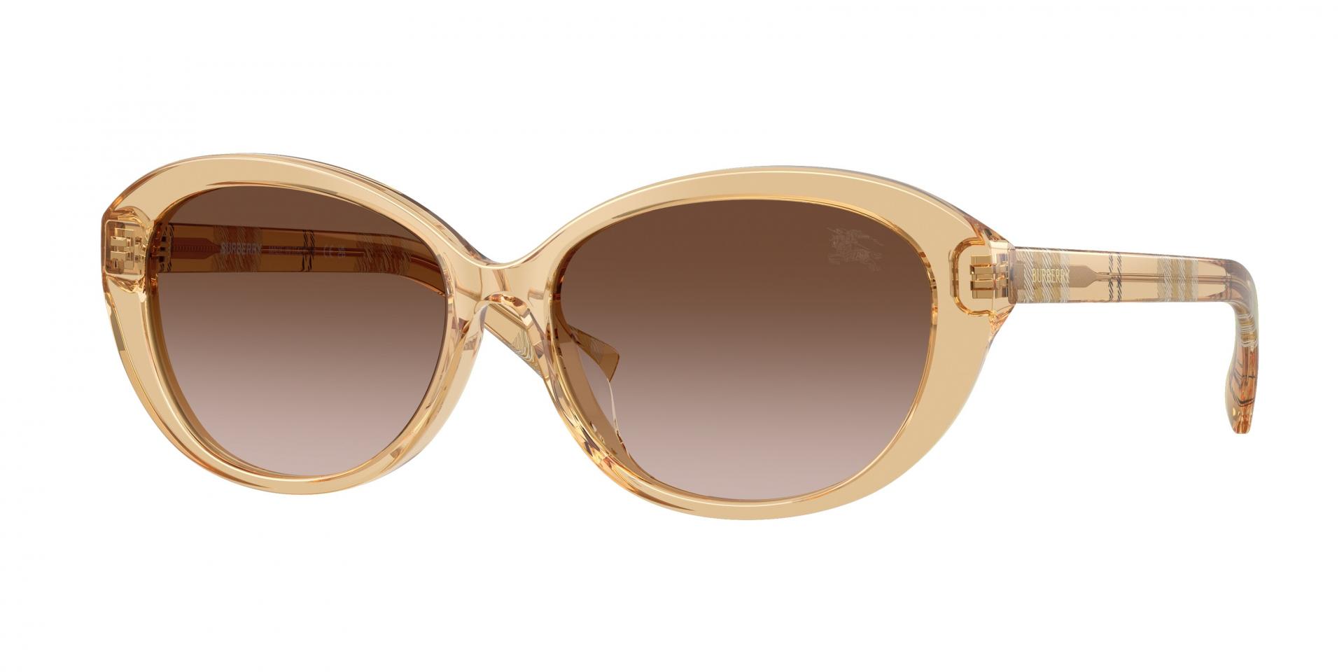 Occhiali da sole Giorgio Armani AR8269U 587587 8056262996492 | Ottica Lux