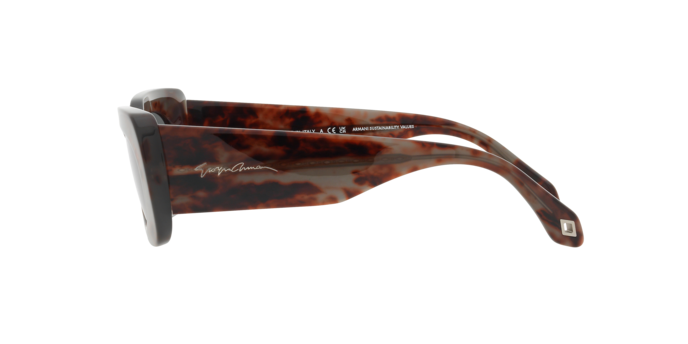 Sunglasses Giorgio Armani AR8182 5976B1 8056597851916 | Ottica Lux