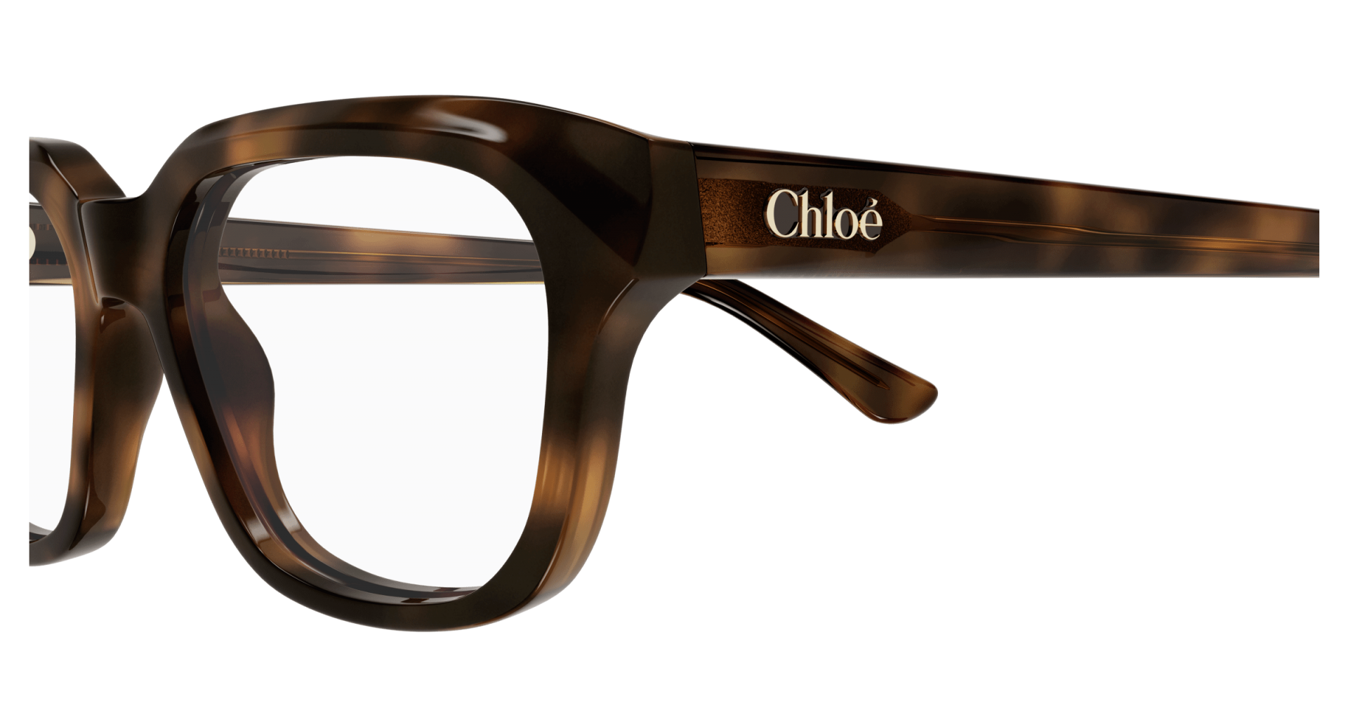 Ophthalmic frames Chloé CH0292O 007 8056376561227 | Ottica Lux