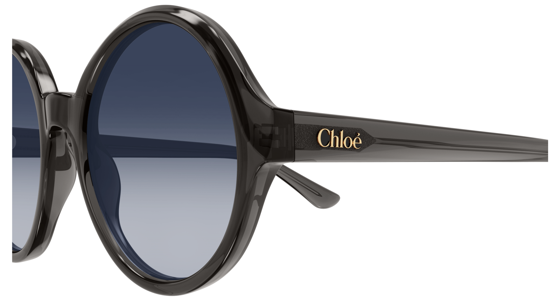 Sunglasses Chloé CH0290S 001 8056376561081 | Ottica Lux