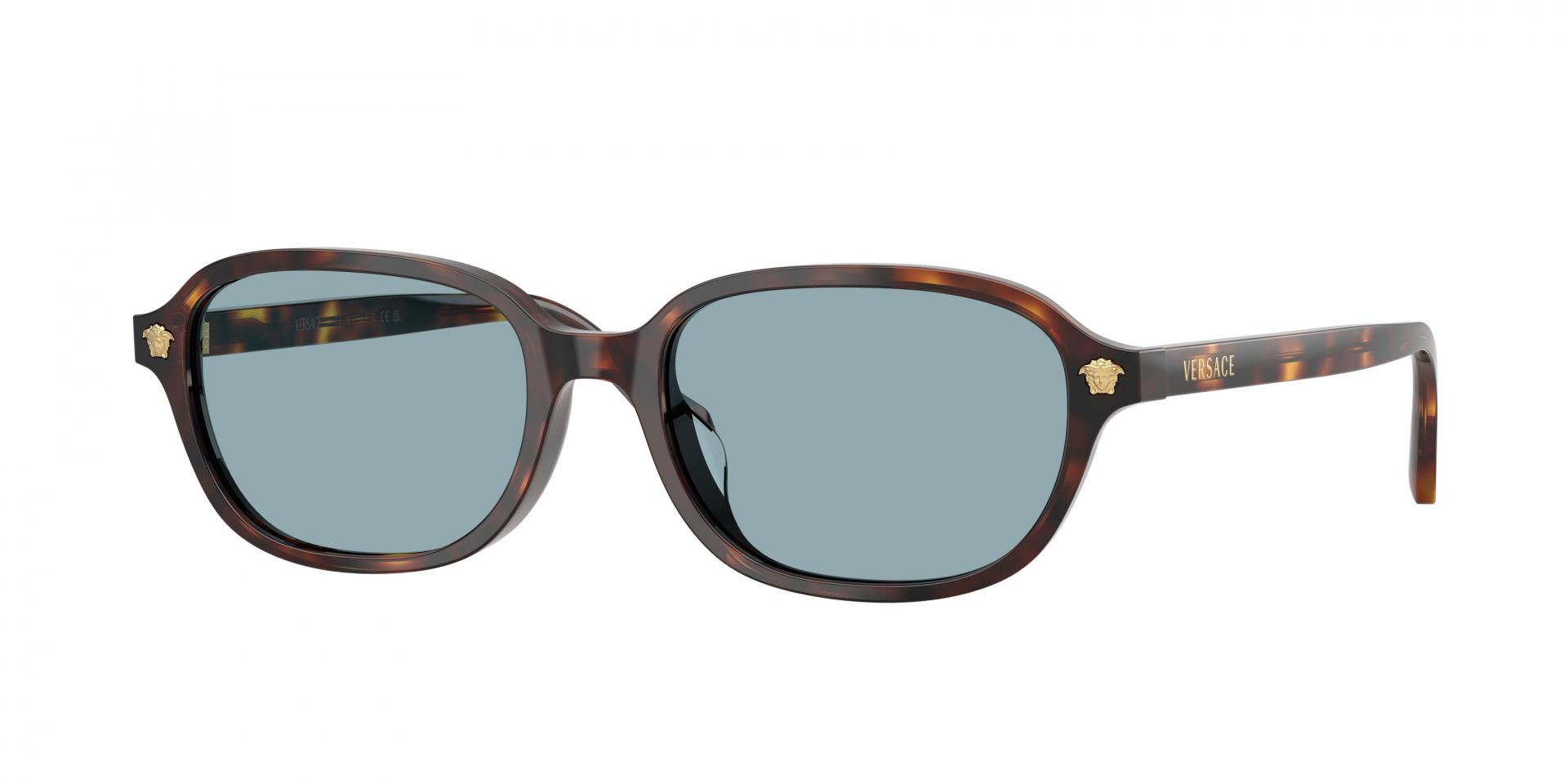 Sunglasses Versace VE4514D 148/84 8056262976647 | Ottica Lux