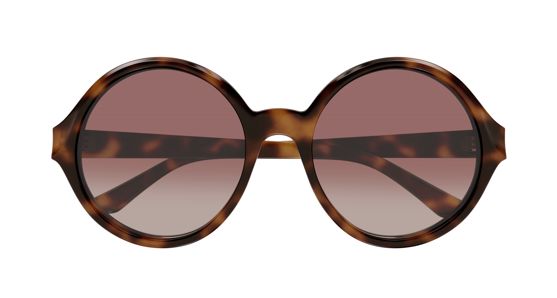 Sunglasses Chloé CH0290S 003 8056376561104 | Ottica Lux