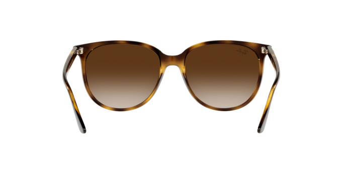 Sunglasses Ray-Ban RB4378 710/13 8056597626897 | Ottica Lux Sunglasses Ray-Ban RB4378 710/13 8056597626897 | Ottica Lux