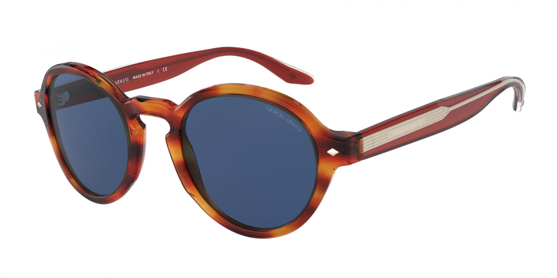 Sunglasses Giorgio Armani AR8207 60888D 8056262049464 | Ottica Lux