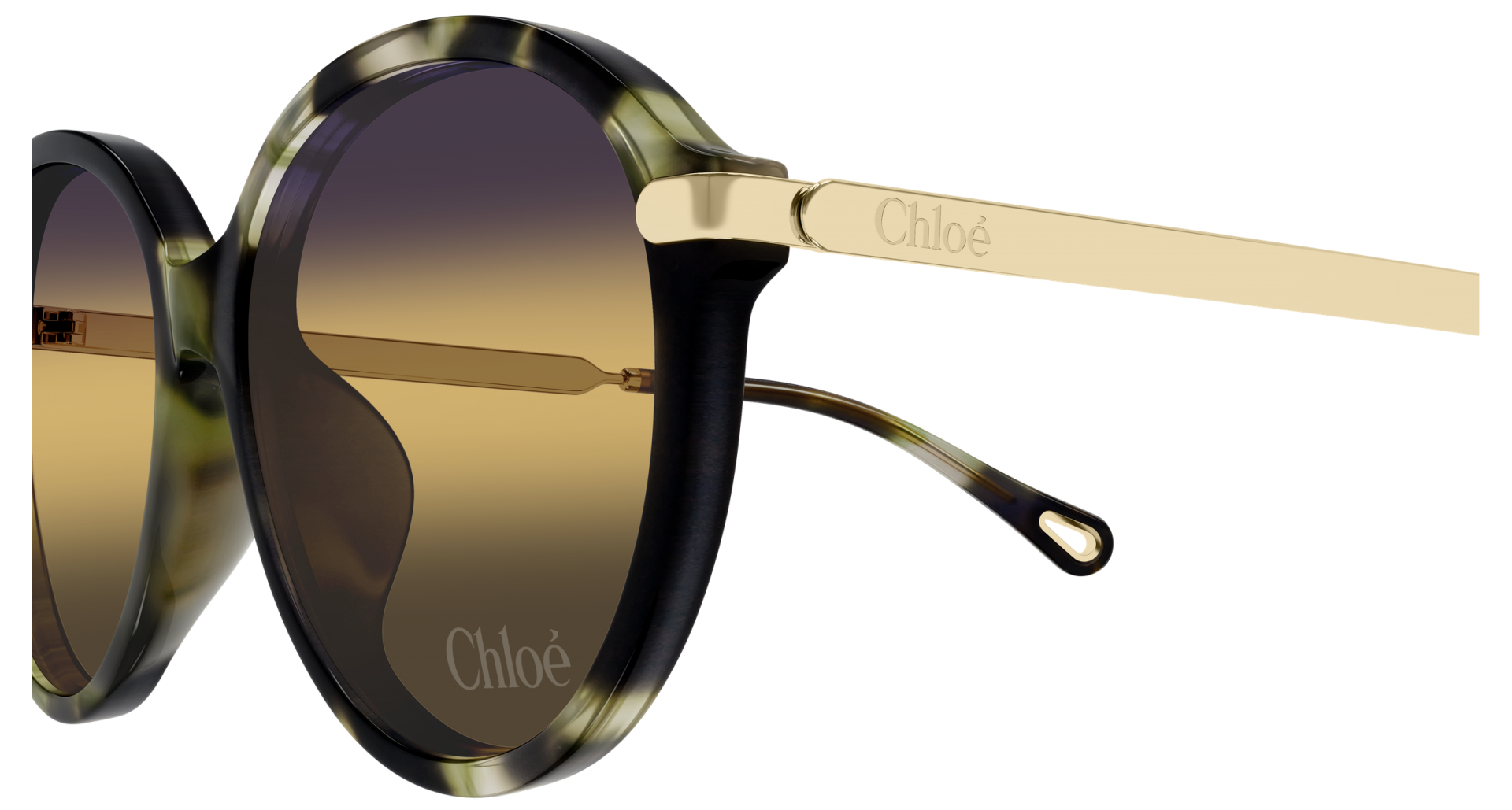 Sunglasses Chloé CH0358SK 003 8056376659955 | Ottica Lux