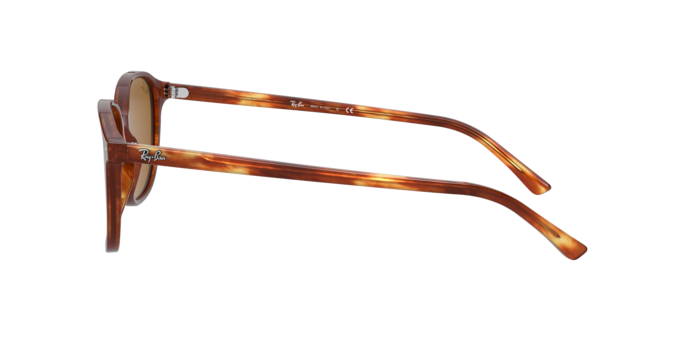 Occhiali da sole Ray-Ban RB2193 LEONARD 954/33 8056597317962 | Ottica Lux