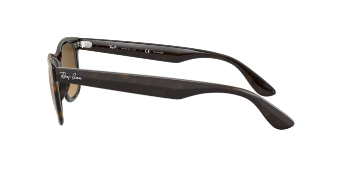 Occhiali da sole Ray-Ban RB4640 710/M2 8056597243421 | Ottica Lux