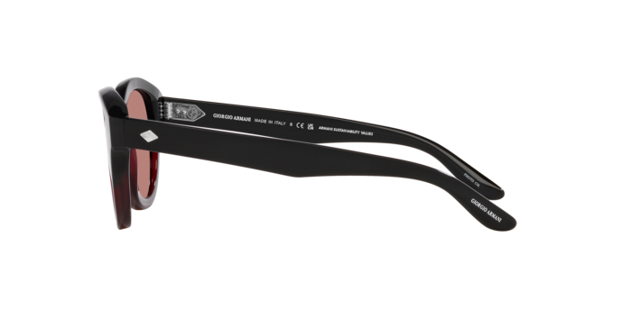 Sunglasses Giorgio Armani AR8181 599730 8056597832649 | Ottica Lux Sunglasses Giorgio Armani AR8181 599730 8056597832649 | Ottica Lux