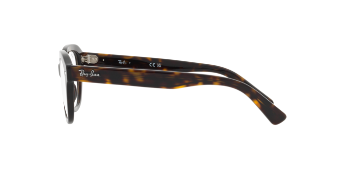 Occhiali da vista Ray-Ban RX7215 ERIK 2012 8056597840507 | Ottica Lux