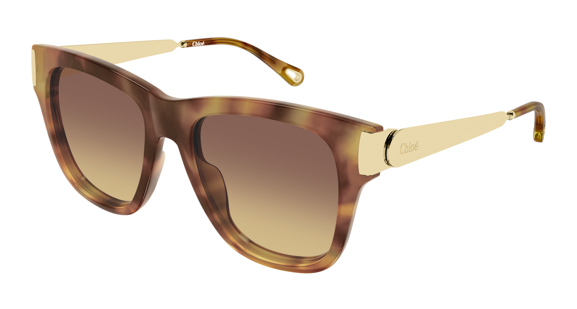 Occhiali da sole Chloé CH0349S 001 8056376659528 | Ottica Lux