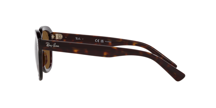 Occhiali da sole Ray-Ban RB4398 ERIK 902/57 8056597828918 | Ottica Lux