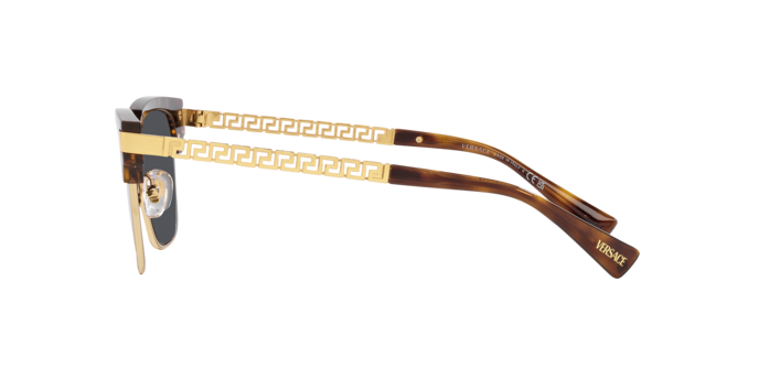 Occhiali da sole Versace VE4447 108/87 8056597838450 | Ottica Lux