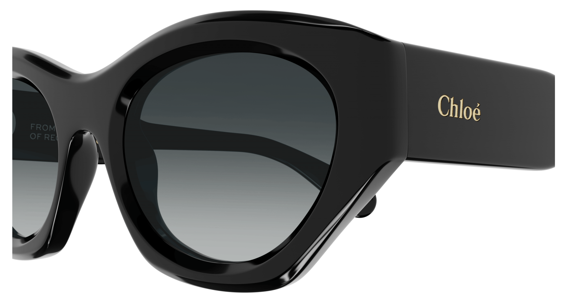 Occhiali da sole Chloé CH0220S 001 8056376501049 | Ottica Lux