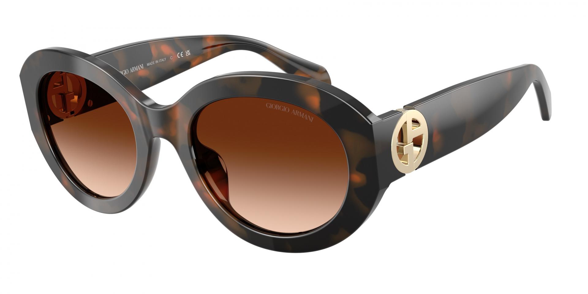 Occhiali da sole Giorgio Armani AR8269U 587587 8056262996492 | Ottica Lux