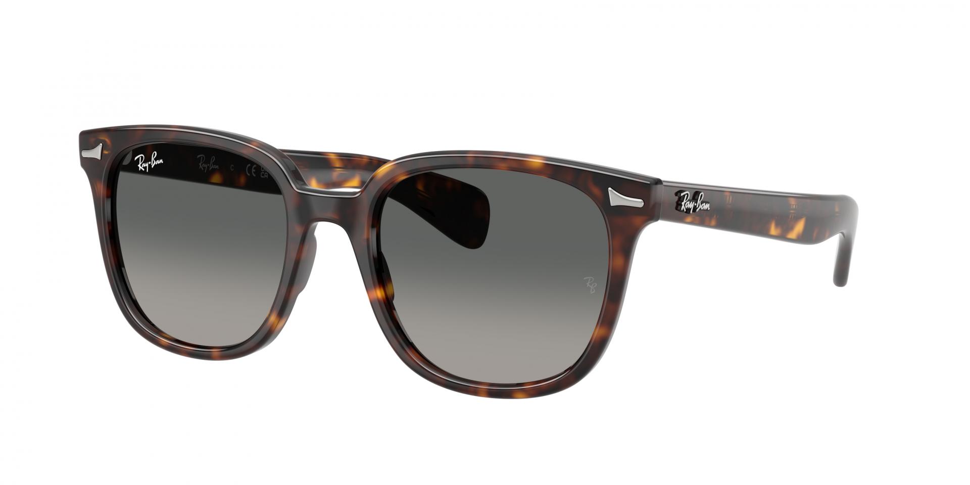 Occhiali da sole Ray-Ban RB2140 WAYFARER 1463R5 8056266001765 | Ottica Lux