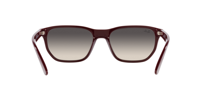 Occhiali da sole Ray-Ban RB4408 MAGELLAN 67286X 8056597937009 | Ottica Lux