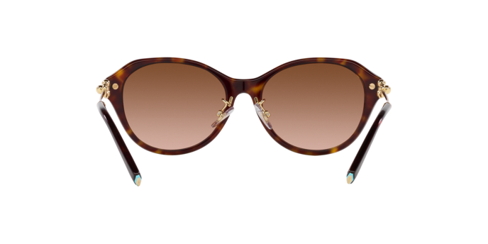Occhiali da sole Tiffany & Co. TF4210D 80153B 8056597853248 | Ottica Lux