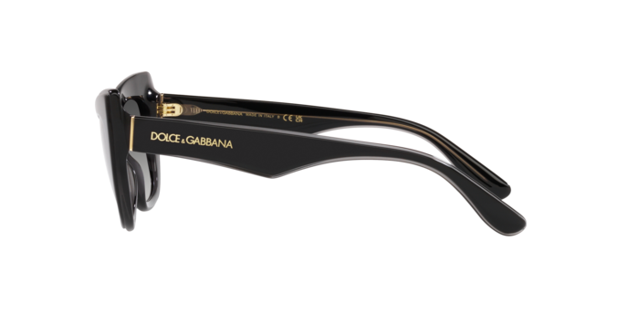 Occhiali da sole Dolce & Gabbana DG4417 32468G 8056597757386 | Ottica Lux