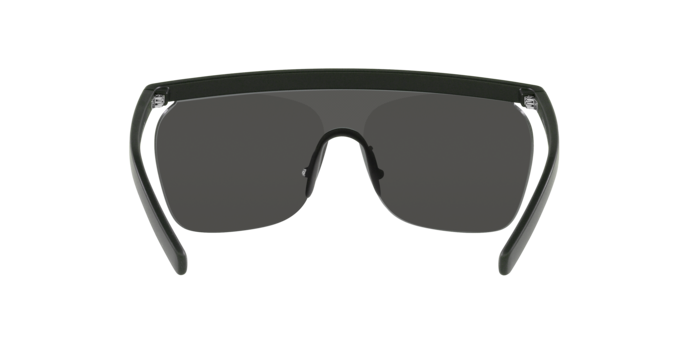 Occhiali da sole Giorgio Armani AR8169 59606R 8056597738965 | Ottica Lux