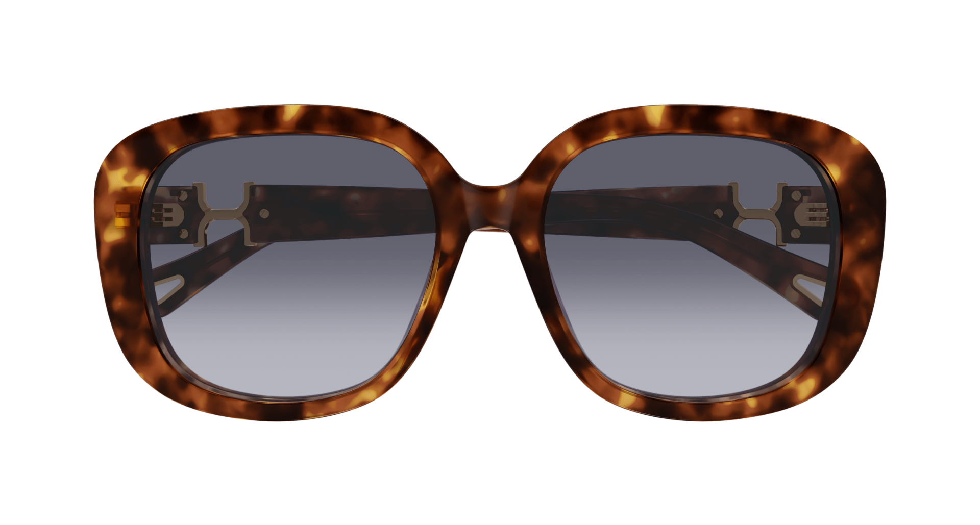 Sunglasses Chloé CH0303SK 002 8056376561739 | Ottica Lux