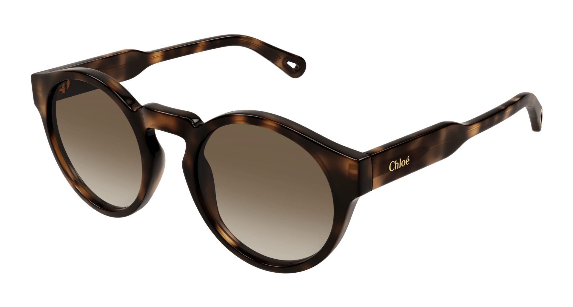 Occhiali da sole Chloé CH0158S 002 8056376444711 | Ottica Lux