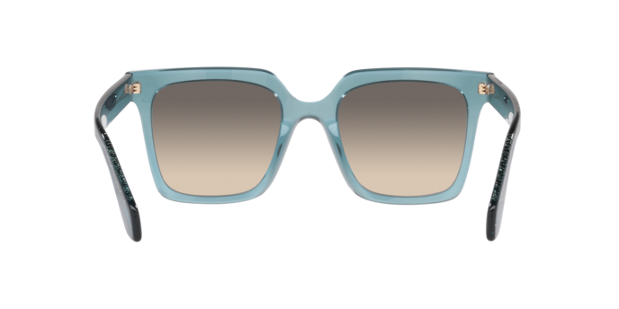 Sunglasses Giorgio Armani AR8156 587951 8056597974370 | Ottica Lux Sunglasses Giorgio Armani AR8156 587951 8056597974370 | Ottica Lux