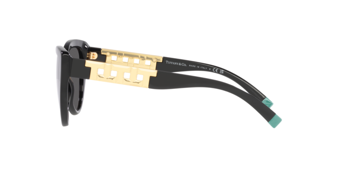 Occhiali da sole Tiffany & Co. TF4196 8001S4 8056597752282 | Ottica Lux