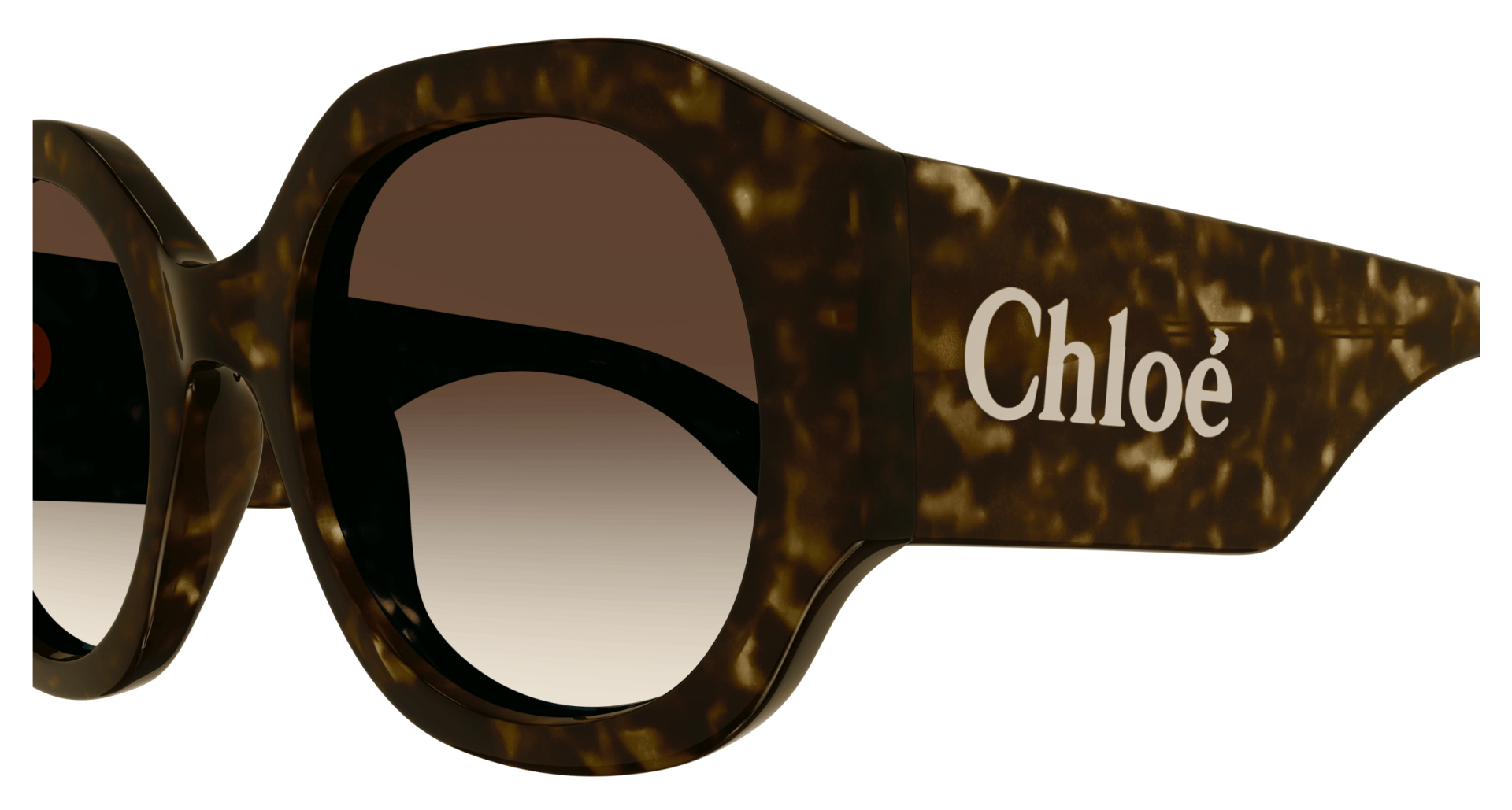 Sunglasses Chloé CH0234S 002 8056376502947 | Ottica Lux Sunglasses Chloé CH0234S 002 8056376502947 | Ottica Lux