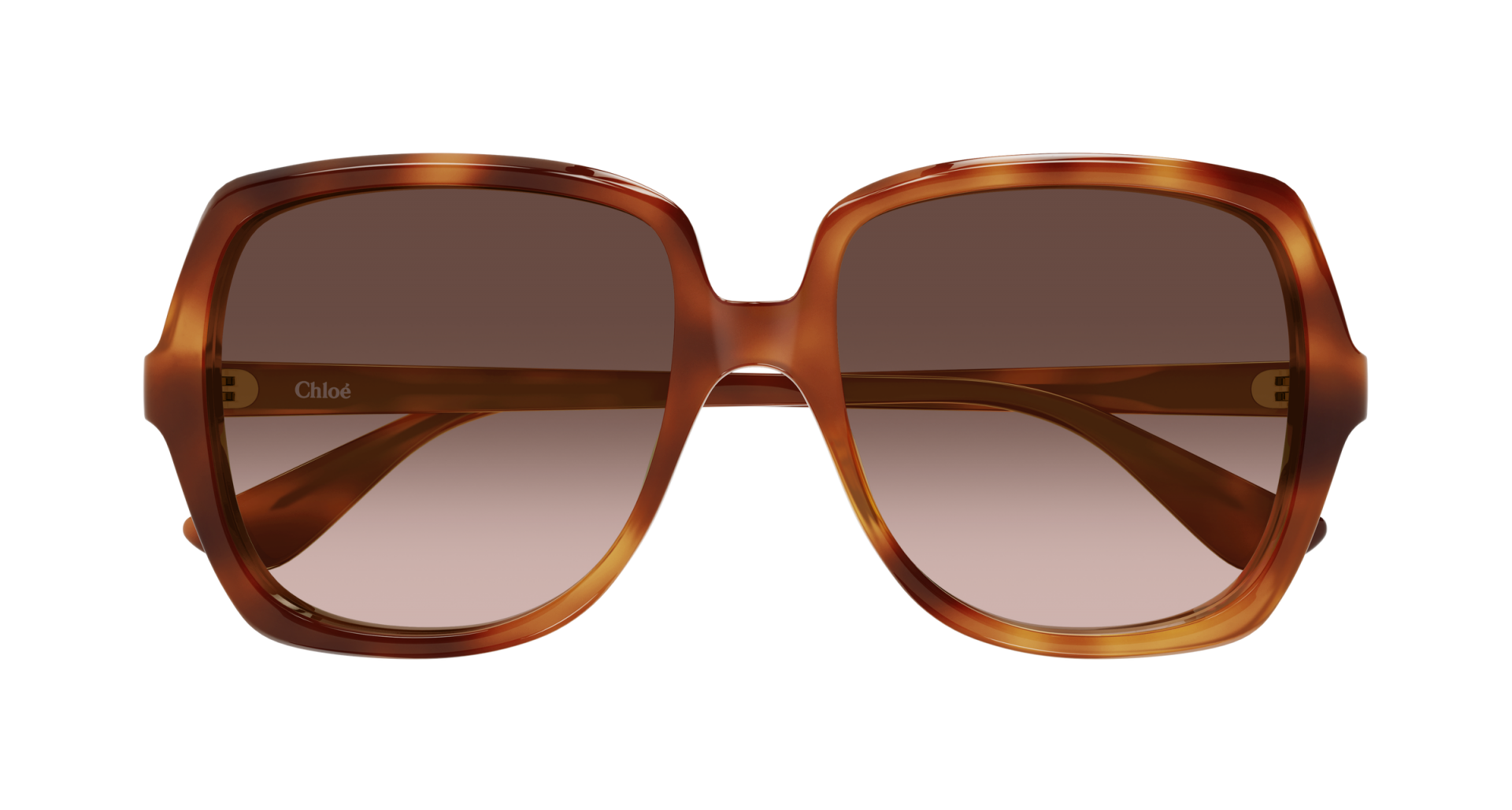 Sunglasses Chloé CH0388S 002 8056376700848 | Ottica Lux