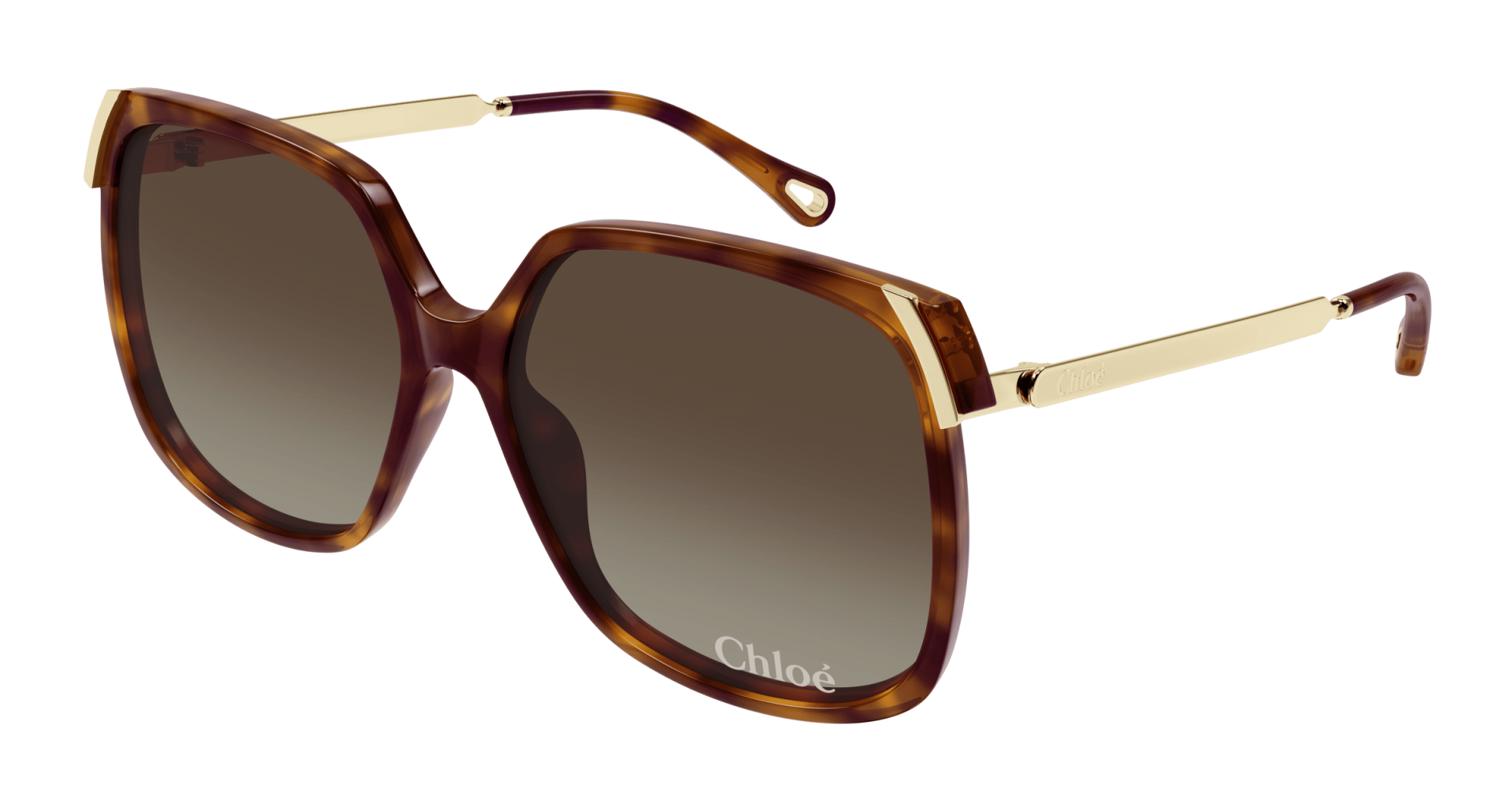 Occhiali da sole Chloé CH0286S 002 8056376565560 | Ottica Lux