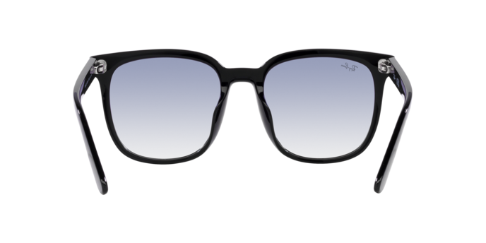 【公式】フジのお歳暮・冬ギフト - WEBカタログ掲載中 Sunglasses Ray-Ban Lux Ottica | 8056262268933 678793 RB4441D バッグ