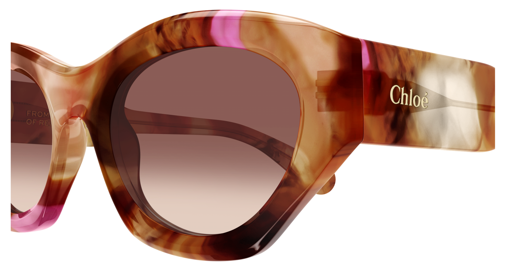 Sunglasses Chloé CH0220S 016 8056376653915 | Ottica Lux