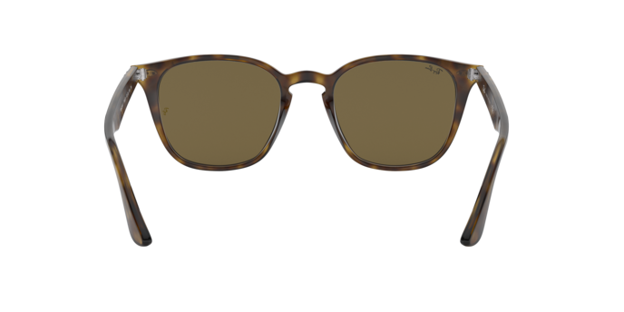 Sunglasses Ray-Ban RB4258F 710/73 8053672612875 | Ottica Lux Sunglasses Ray-Ban RB4258F 710/73 8053672612875 | Ottica Lux
