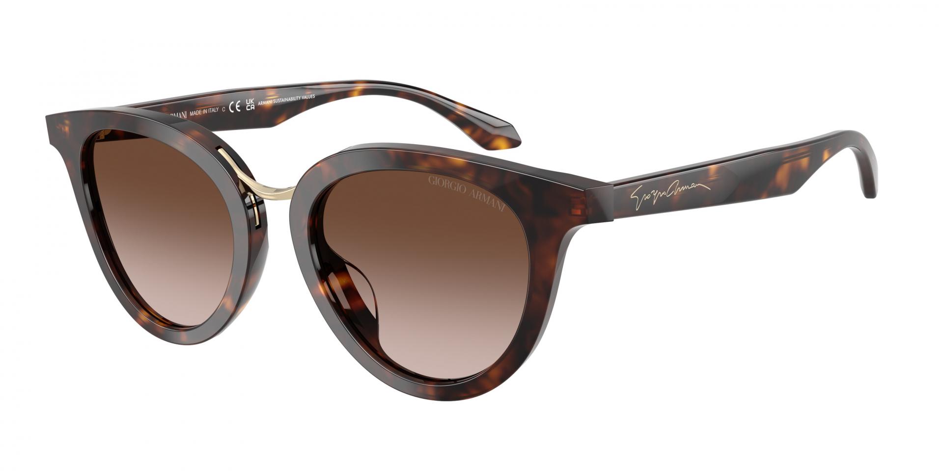 Occhiali da sole Giorgio Armani ar8252u 639913 8056262845578 | Ottica Lux