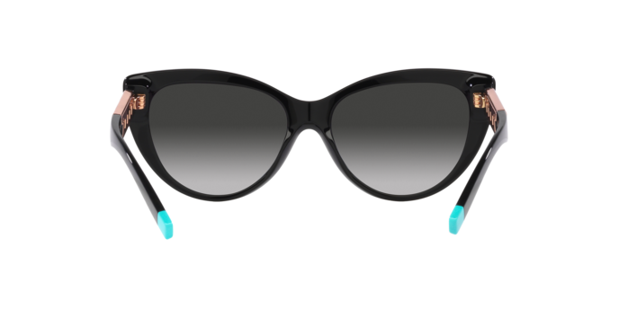 Occhiali da sole Tiffany & Co. TF4196 80013C 8056597752275 | Ottica Lux