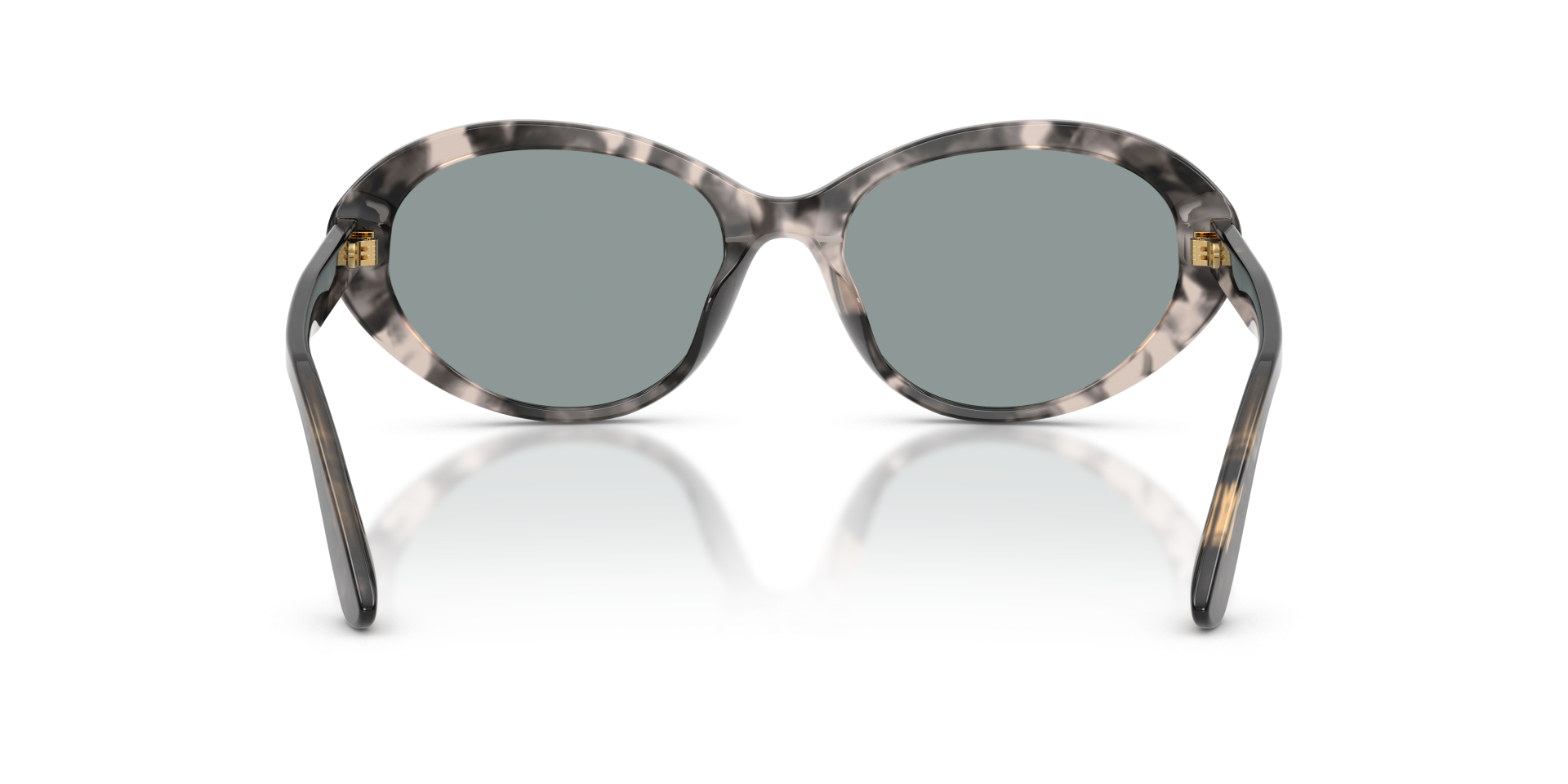Sunglasses Dolce & Gabbana DG4570 3172/1 8056266003660 | Ottica Lux