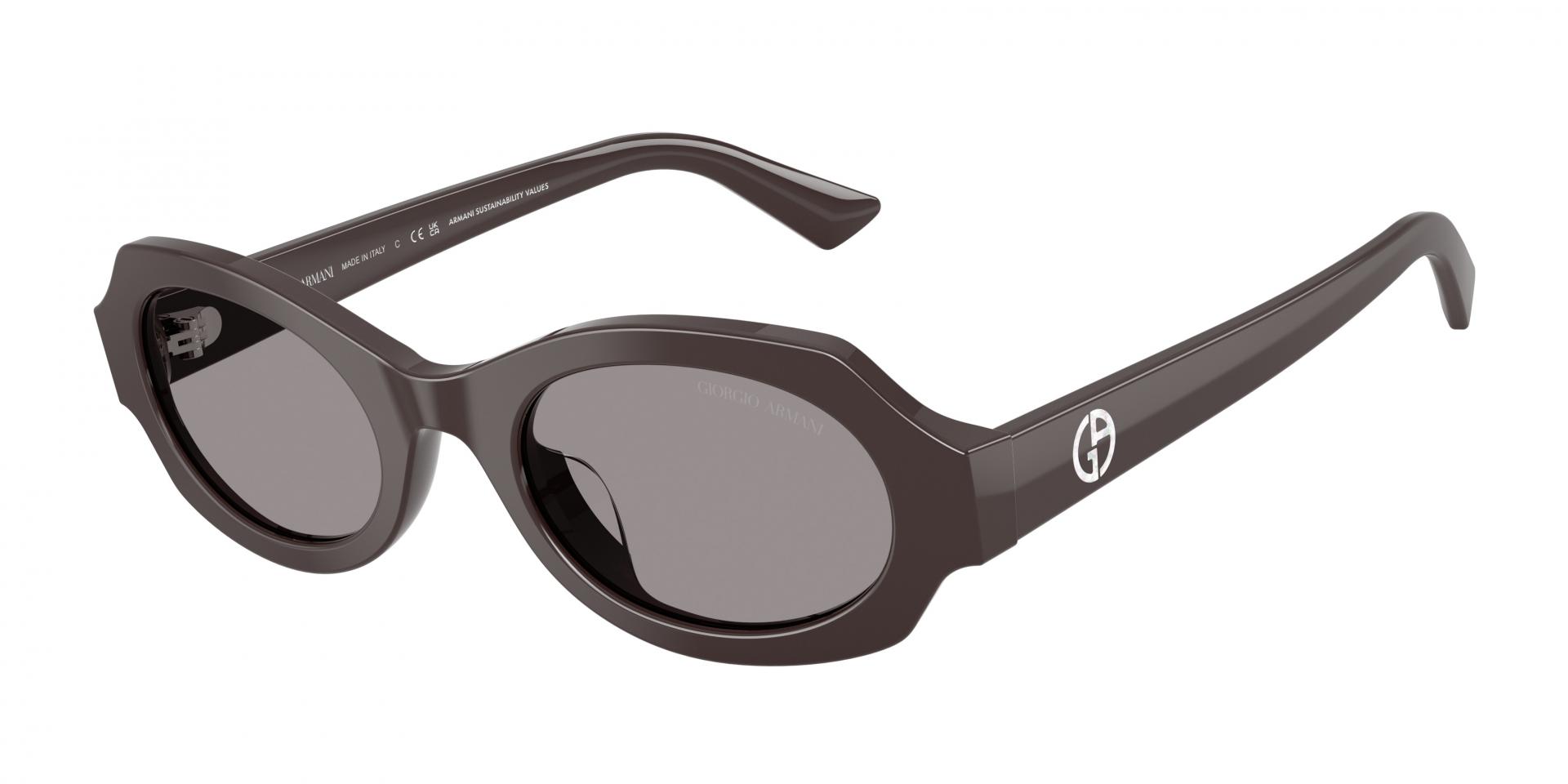 Sunglasses Giorgio Armani ar8245hu 587587 8056262573433 | Ottica Lux