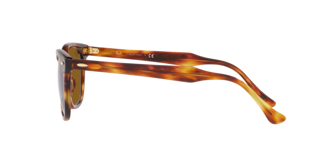 Sunglasses Ray-Ban RB2298 HAWKEYE 954/33 8056597626767 | Ottica Lux Sunglasses Ray-Ban RB2298 HAWKEYE 954/33 8056597626767 | Ottica Lux