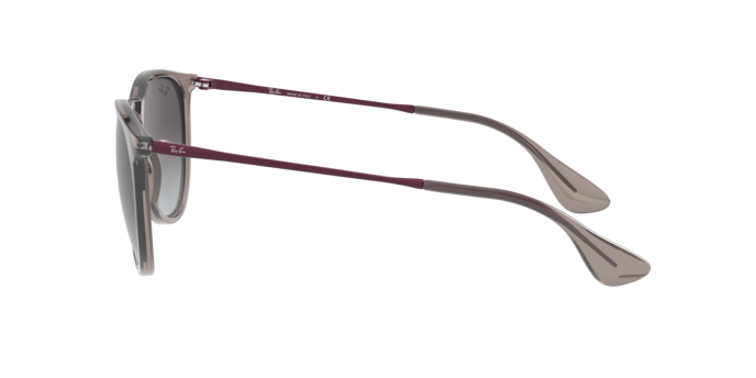 Sunglasses Ray-Ban RB4171 ERIKA 65138G 8056597369374 | Ottica Lux Sunglasses Ray-Ban RB4171 ERIKA 65138G 8056597369374 | Ottica Lux