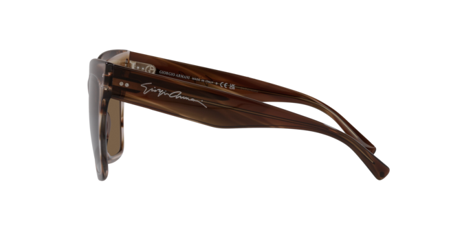 Occhiali da sole Giorgio Armani AR8184U 612433 8056262063767 | Ottica Lux