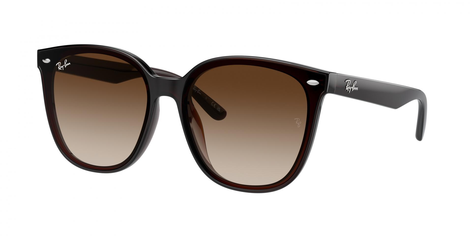 Sunglasses Ray-Ban RB4423D 714/13 8056262051641 | Ottica Lux