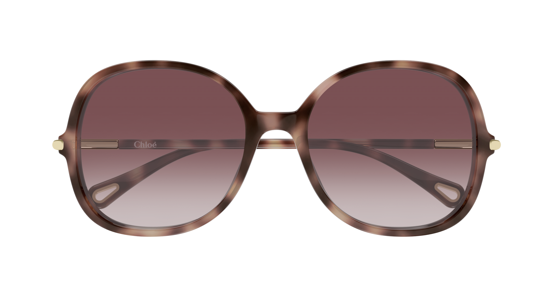Sunglasses Chloé CH0383S 004 8056376661286 | Ottica Lux